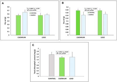 First Report of the Hyperaccumulating Potential of Cadmium and Lead by Cleome rutidosperma DC. With a Brief Insight Into the Chemical Vocabulary of its Roots